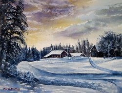 2018-01 Winterlandschaft - Lappland, Schweden